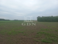 Budapest XXIII. kerület Mezőgazdasági terület